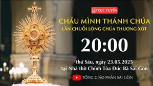 Chầu Thánh Thể 20:00 | Lần Chuỗi Lòng Chúa Thương Xót | Ngày 23-5-2025 | Nhà Thờ Đức Bà