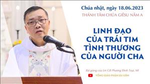 Linh đạo của trái tim - Tình thương của Người Cha - Lm GB Phương Đình Toại, MI