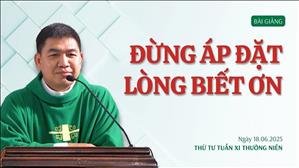 Đừng áp đặt lòng biết ơn - Lm Phêrô Phạm Kim Quyền, MI | Thứ Tư tuần XI Thường niên