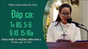 CN 16 Thường niên A - Đáp ca: Tv 85, 5-6. 9-10. 15-16a