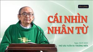 Cái nhìn nhân từ - Lm Phêrô Nguyễn Văn Hiền | Thứ Sáu tuần XV Thường niên