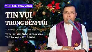 Tin vui trong đêm tối - Lm GB Phương Đình Toại, MI