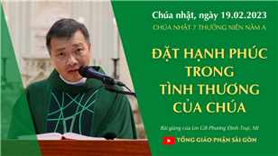 Đặt hạnh phúc trong tình thương của Chúa - Lm GB Phương Đình Toại, MI | CN 7 TN năm A