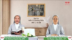 Gia đình cầu nguyện với Lời Chúa ngày 22-6-2022: Thứ Tư tuần 12 mùa Thường niên (Mt 7, 15-20)