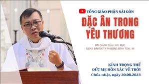 Đặc ân trong yêu thương - Lm GB Phương Đình Toại, MI | Kính trọng thể Đức Mẹ Hồn Xác Về Trời