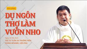 Dụ ngôn thợ làm vườn nho - Lm Phêrô Phạm Kim Quyền, MI | Thứ Tư tuần XX Thường niên