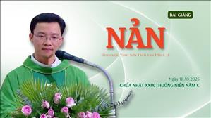 Nản - Lm Vinh Sơn Trần Văn Đỉnh, SJ | Chúa nhật XXIX Thường niên năm C