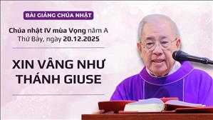 Xin vâng như thánh Giuse - Lm Ignatio Hồ Văn Xuân | CN IV MV năm A