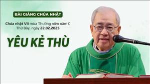 Yêu kẻ thù - Lm Ignatio Hồ Văn Xuân | CN VII TN năm C