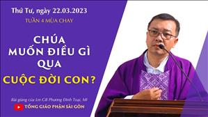 Chúa muốn điều gì qua cuộc đời con? - Lm GB Phương Đình Toại, MI | Thứ Tư tuần 4 MC