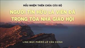 Người Tín hữu là viên đá trong tòa nhà Giáo Hội | Lm Phêrô Lê Văn Chính