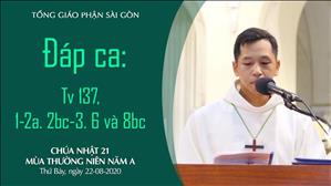 CN 21 Thường niên A - Đáp ca: Tv 137, 1-2a. 2bc-3. 6 và 8bc