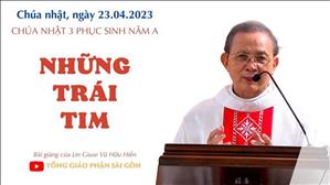 Những trái tim - Lm Giuse Vũ Hữu Hiền | CN 3 PS năm A