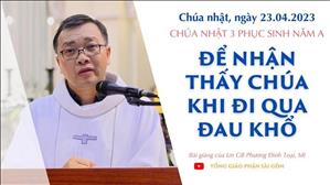 Để nhận thấy Chúa khi đi qua đau khổ - Lm GB Phương Đình Toại, MI | CN 3 PS năm A