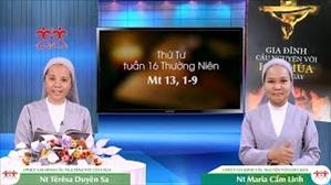 3 phút Gia đình cầu nguyện với Lời Chúa: Thứ Tư tuần 16 Thường Niên (Mt 13, 1-9)