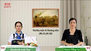 Đừng nhổ cỏ lùng - Thứ Bảy tuần 16 mùa Thường niên (Mt 13, 24-30)
