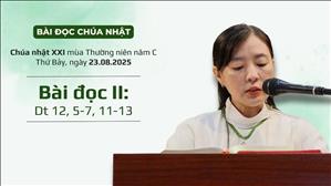 Bài đọc II: Dt 12, 5-7, 11-13 | CN XXI TN năm C