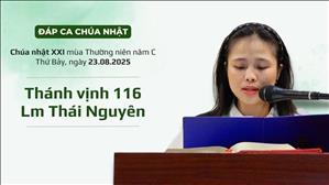 Đáp ca: Tv 116, 1. 2 | CN XXI TN năm C