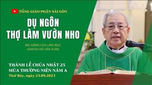 Dụ ngôn thợ làm vườn nho - Lm Ignatio Hồ Văn Xuân | CN 25 TN năm A