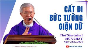 Cất đi bức tường giận dữ - Lm Phanxicô Xaviê Bảo Lộc | Thứ Sáu tuần I MC