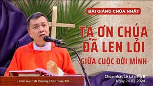 Tạ ơn Chúa đã len lỏi giữa cuộc đời mình - Lm GB Phương Đình Toại, MI | CN lễ Lá năm B