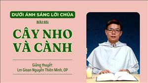 Bài 65: Cây nho và cành | Dưới ánh sáng Lời Chúa