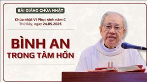 Bình an trong tâm hồn - Lm Ignatio Hồ Văn Xuân | CN VI PS năm C