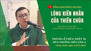 Lòng kiên nhẫn của Thiên Chúa - Lm GB Phương Đình Toại, MI | CN 16 TN năm A