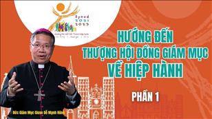 Hướng tới một Giáo Hội Hiêp Hành: Hiệp Thông - Tham gia và Sứ vụ