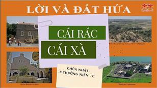 Lời & Đất Hứa - CN 8 TN năm C: Mù mà lại dắt mù - Cái rác & cái xà
