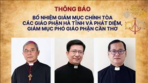 Bổ nhiệm Giám mục chính tòa các giáo phận Hà Tĩnh và Phát Diệm, Giám mục phó giáo phận Cần Thơ