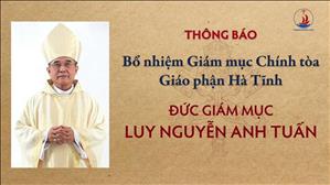 Thông Báo: Bổ nhiệm Giám mục Chính tòa Giáo phận Hà Tĩnh