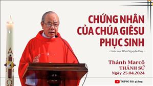 Chứng nhân của Chúa Giêsu phục sinh - Lm Rôcô Nguyễn Duy | Thánh Marcô, tác giả sách Tin mừng