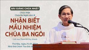 Nhận biết mầu nhiệm Chúa Ba Ngôi - Lm Phêrô Đỗ Duy Khánh | Lễ Chúa Ba Ngôi năm B