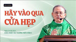 Hãy vào qua cửa hẹp - Lm Giuse Vũ Hữu Hiền | Chúa nhật XXI Thường niên năm C