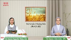 Hạt Giống - Thứ Tư tuần 3 mùa Thường niên (Mc 4, 1-20)