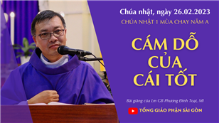 Cám dỗ của cái tốt - Lm GB Phương Đình Toại, MI | CN 1 MC năm A