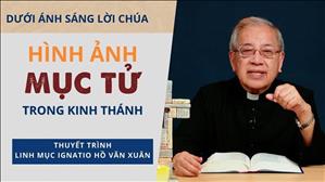 Bài 11: Hình ảnh Mục tử trong Kinh Thánh | Dưới ánh sáng Lời Chúa | Lm Ignatio Hồ Văn Xuân