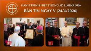  Bản tin ngày V (24/4/2026) – Hành trình hiệp thông Ad Limina 2026