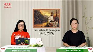 Không chỗ tựa đầu - Thứ Hai tuần 13 mùa Thường niên (Mt 8, 18-22)