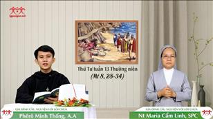 Đi đi! - Thứ Tư tuần 13 mùa Thường niên (Mt 8, 28-34)