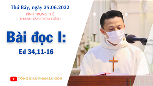 Kính trọng thể Thánh Tâm Chúa Giêsu - Bài đọc I: Ed 34,11-16