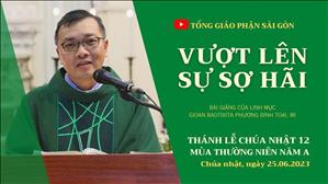 Vượt lên sự sợ hãi - Lm GB Phương Đình Toại, MI | CN 12 TN năm A