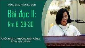 CN 17 Thường niên A - Bài Ðọc II: Rm 8, 28-30