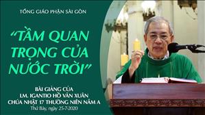 CN 17 Thường niên A - Bài giảng: Tầm quan trọng của nước Trời