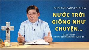 Bài 24: Nước Trời giống như chuyện... | Dưới ánh sáng Lời Chúa | Chúa nhật 17 Thường niên năm A