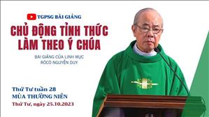 Chủ động tỉnh thức làm theo ý Chúa - Lm Rôcô Nguyễn Duy | Thứ Tư tuần 29 TN
