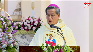 Chúa đã Giáng Sinh 2019 năm rồi sao con người vẫn đau khổ ?