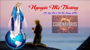 Nguyện Mẹ Thương - Sáng tác: Lm Phêrô Vũ Văn Vượng, CSC