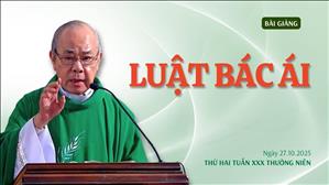 Luật bác ái - Lm Rôcô Nguyễn Duy | Thứ Hai tuần XXX Thường niên